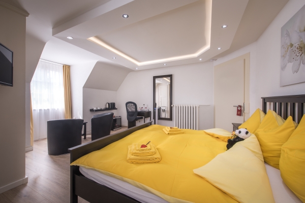 Hotel Max Aviation Villa (Bern)